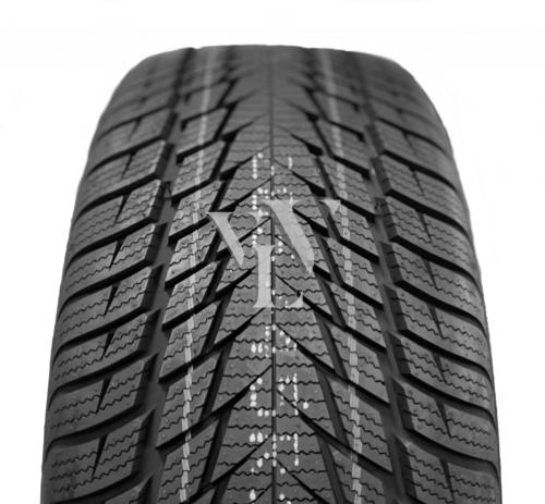  Winterreifen FORTUNA GOWIN UHP 2 245/45 R17 99 V  