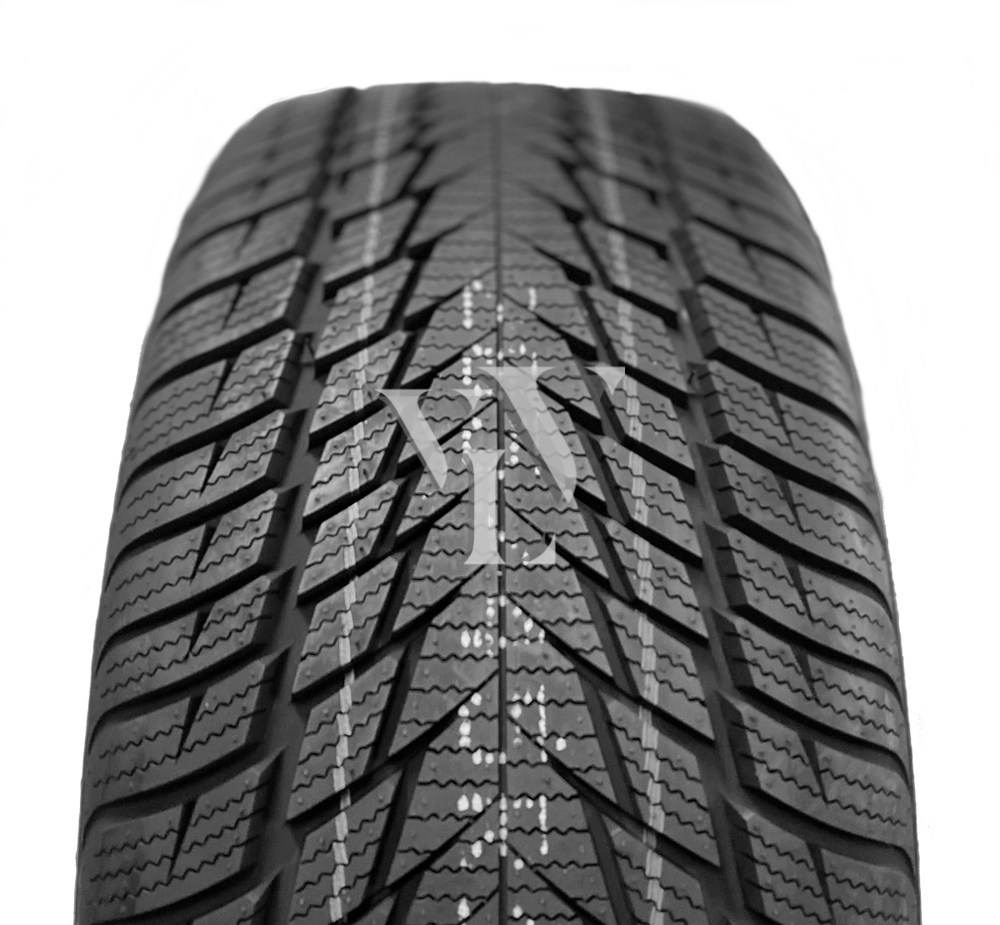  Winterreifen FORTUNA GOWIN UHP 2 245/45 R17 99 V  