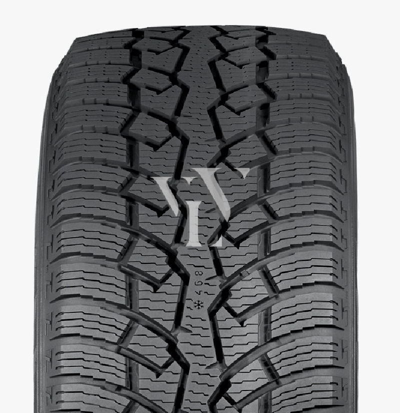  Winterreifen NOKIAN HKPL CR4 195/65 R16 104/102 R  