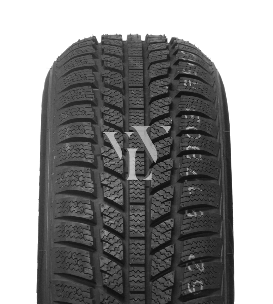  Winterreifen EVERGREEN EW62 195/65 R15 91 T  