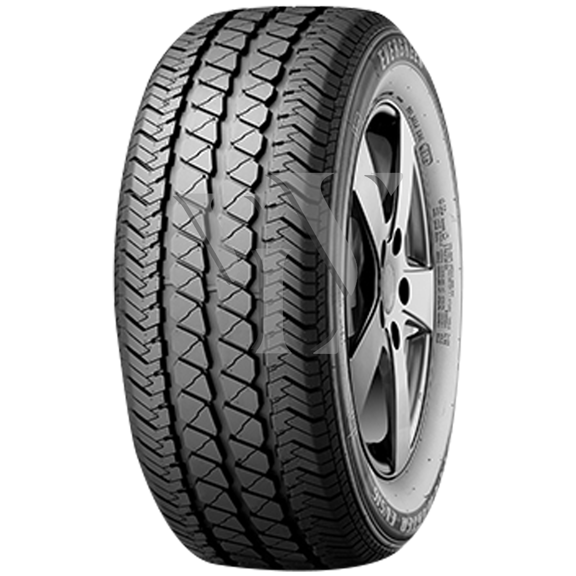  Sommerreifen EVERGREEN EV516 205/65 R16 107/105 T  