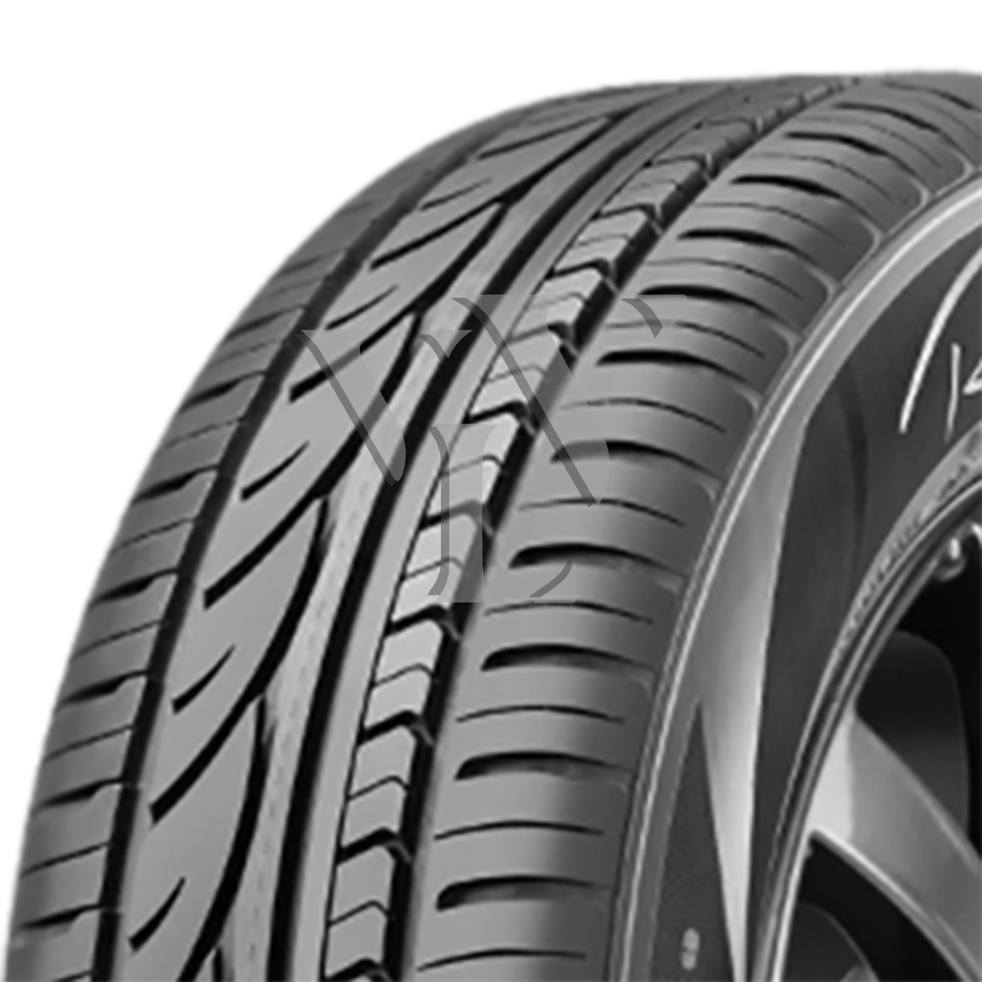  Sommerreifen RADAR RPX800 RUNFLAT 205/55 R17 95 Y  